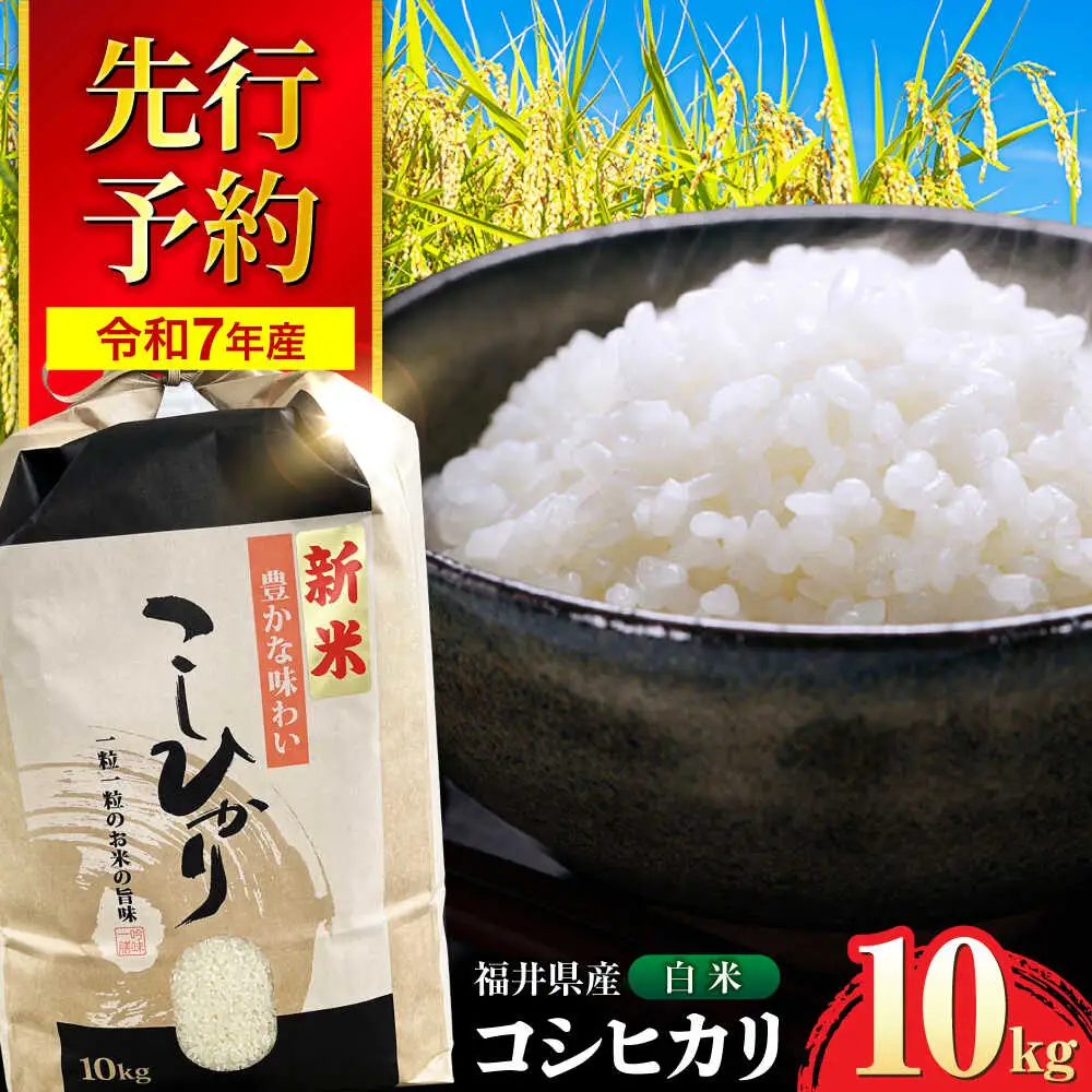 【令和8年産 新米】 【先行予約 /9月中旬以降発送】　福井県産 コシヒカリ 白米 10kg / 米 お米 精米 国産米 / 小浜市 / 北川博司 [BFDG001]