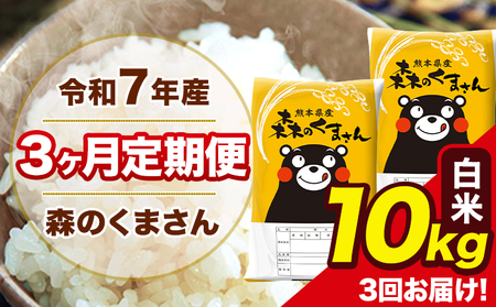 米 令和7年産 森のくまさん 白米 10kg 5kg×2袋 計3回お届け 《お申込み翌月から出荷》 お米 こめ 熊本県産 ご飯 備蓄