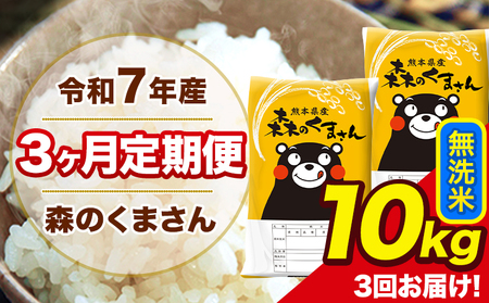 米 令和7年産 森のくまさん 無洗米 10kg 5kg×2袋 計3回お届け 《お申込み翌月から出荷》 お米 こめ 熊本県産 ご飯 備蓄