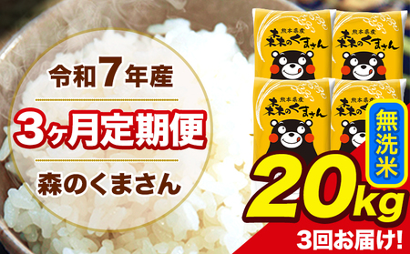 米 令和7年産 森のくまさん 無洗米 20kg 5kg×4袋 計3回お届け 《お申込み翌月から出荷》 お米 こめ 熊本県産 ご飯 備蓄