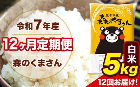 米 令和7年産 森のくまさん 白米 5kg 5kg×1袋 計12回お届け 《お申込み翌月から出荷》 お米 こめ 熊本県産 ご飯 備蓄