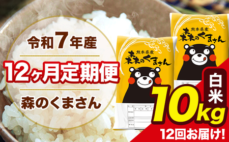 米 令和7年産 森のくまさん 白米 10kg 5kg×2袋 計12回お届け 《お申込み翌月から出荷》 お米 こめ 熊本県産 ご飯 備蓄