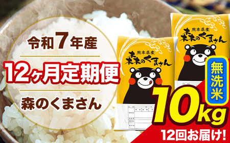 米 令和7年産 森のくまさん 無洗米 10kg 5kg×2袋 計12回お届け 《お申込み翌月から出荷》 お米 こめ 熊本県産 ご飯 備蓄