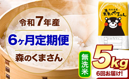 【6ヶ月定期便】令和7年産 無洗米 森のくまさん 5kg(5kg×1袋)《お申し込みの翌月から出荷》