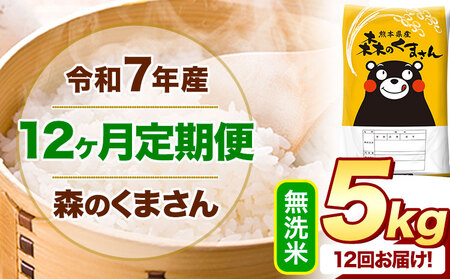 【12ヶ月定期便】令和7年産 無洗米 森のくまさん 5kg(5kg×1袋) 《お申込み翌月から出荷》