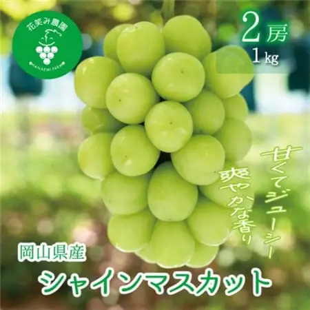 岡山　花笑み農園の 『シャインマスカット』1kg(2房)　S-1【配送不可地域：離島・北海道・沖縄県】【1628313】