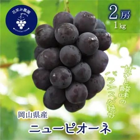 岡山　花笑み農園の『ニューピオーネ』1kg (2房)　P-1【配送不可地域：離島・北海道・沖縄県】【1628315】