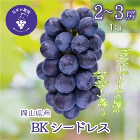 岡山　花笑み農園の『BKシードレス』1kg(2～3房)　B-1【配送不可地域：離島・北海道・沖縄県】【1628316】
