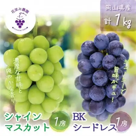 岡山　花笑み農園『シャインマスカット＆BKシードレス』1kg(2房)BS-1【配送不可地域：離島・北海道・沖縄県】【1628317】