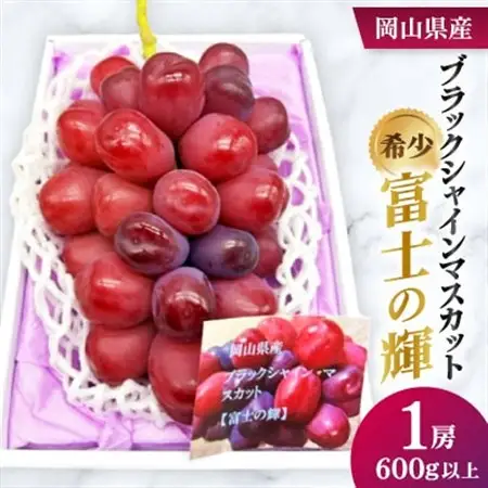 【先行受付】岡山県産　ブラックシャインマスカット 1房(600g以上)　化粧箱入り【配送不可地域：離島・北海道・沖縄県】【1631141】