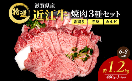 近江牛 特選 焼肉 3種盛り 約1.2kg(6～8人用)　国産　牛肉　牝牛　ブランド牛　3パック　滋賀県　豊郷町　BBQ　バーベキュー