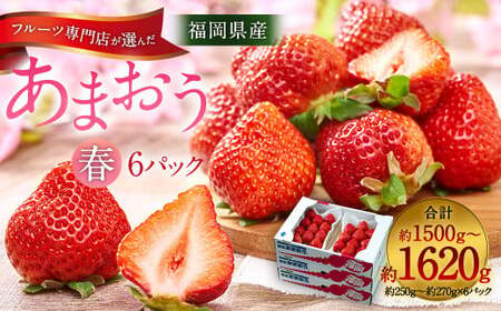  福岡産【春】フルーツ専門店が選んだ あまおう 6パック いちご 苺 果物 フルーツ 福岡 太宰府【2027年2月上旬～3月下旬発送予定】