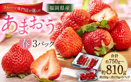  福岡産【春】あまおう3パック いちご フルーツ デザート【2027年2月上旬～3月下旬発送予定】