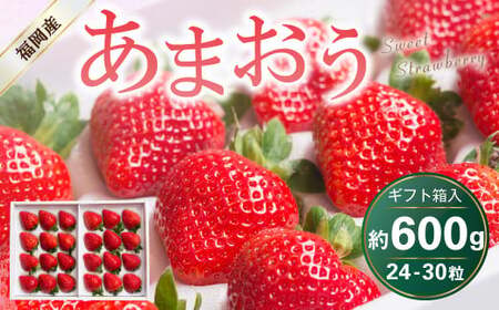 福岡県産 あまおう ギフト箱 24-30粒 約600g いちご 苺 フルーツ 国産【2026年12月上旬～2027年3月下旬発送予定】