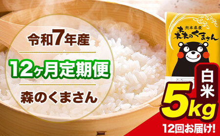 令和7年産 森のくまさん【12ヶ月定期便】 白米 《お申込み翌月から出荷》5kg (5kg×1袋) 計12回お届け 熊本県産 単一原料米 森くま 熊本県 玉東町