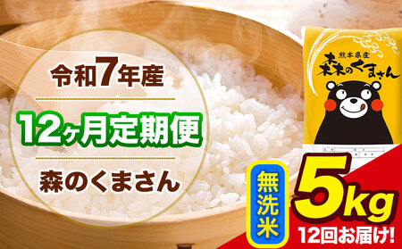 令和7年産 森のくまさん【12ヶ月定期便】 無洗米 《お申込み翌月から出荷》5kg (5kg×1袋) 計12回お届け 熊本県産 単一原料米 森くま 熊本県 玉東町
