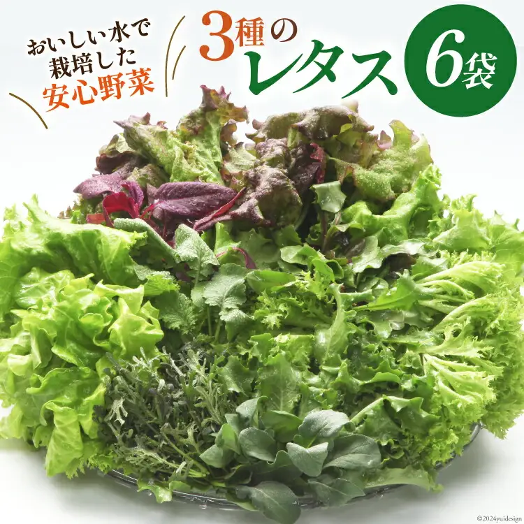 富山のおいしい水で生産した安心野菜（6袋） [北陸機材 富山県 舟橋村 57050100]