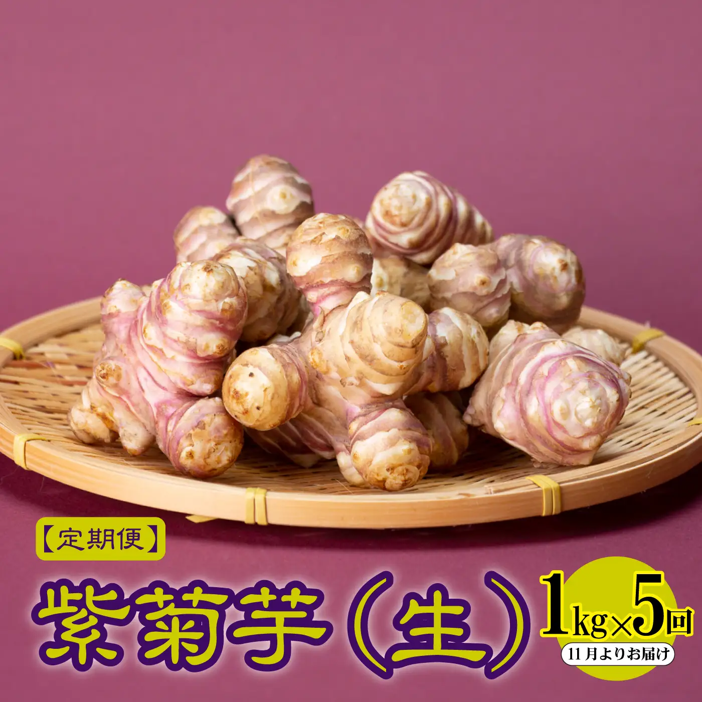 【定期便】紫菊芋（生）1kg×5回　2026年11月よりお届け
