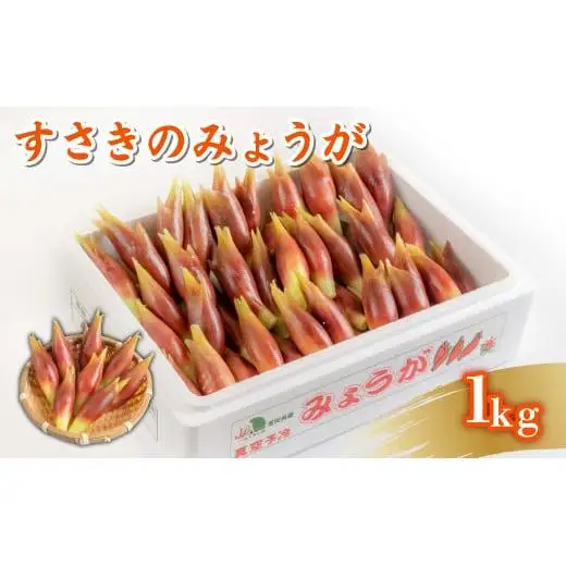 【 みょうが 】 1kg  かつおのたたき に 合う すさきのみょうが