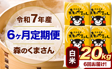 【6ヶ月定期便】令和7年産 白米 森のくまさん 20kg(5kg×4袋)《お申し込みの翌月から出荷》 熊本県産 白米 精米 米 こめ コメ お米 kome