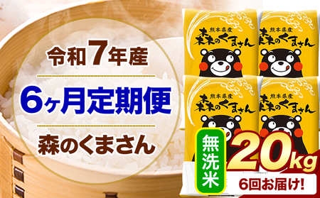 【6ヶ月定期便】令和7年産 無洗米 森のくまさん 20kg (5kg×4袋) 《お申し込みの翌月から出荷》 熊本県産 無洗米 精米 米 こめ コメ お米 kome