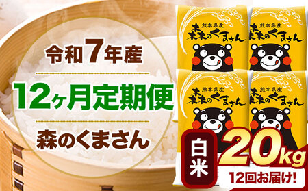 【12ヶ月定期便】令和7年産 白米 森のくまさん 20kg (5kg×4袋)《お申込み翌月から出荷》 熊本県産 白米 精米 米 こめ コメ お米 kome