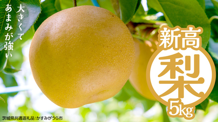 新高 約5kg（茨城県共通返礼品：かすみがうら市） [FF005sa]