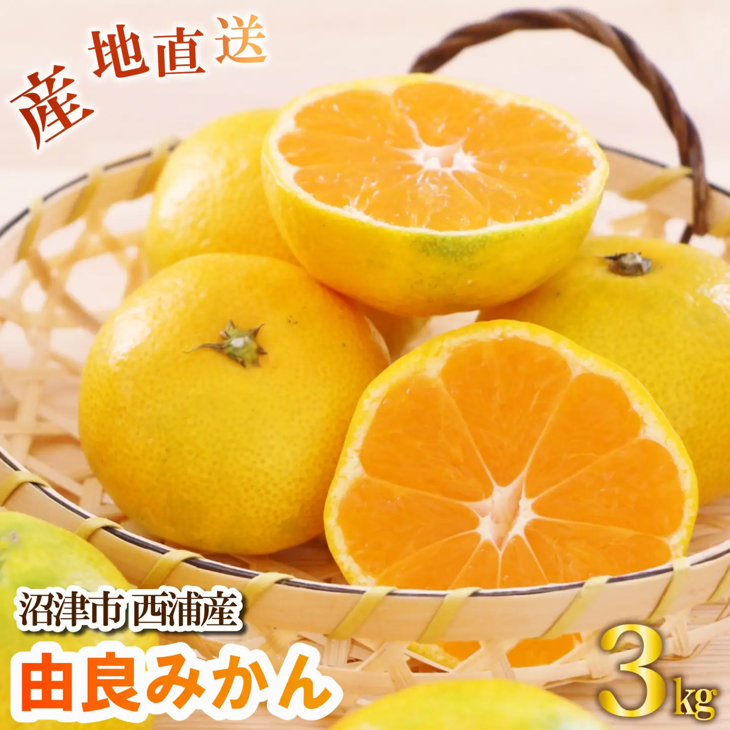【先行予約】由良みかん 約3kg 沼津市 西浦 みかん
