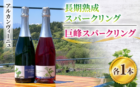 ワイン　長期熟成スパークリング ＆ 巨峰 スパークリングワイン ２本セット | 【アルカンヴィーニュ】辛口 長野 日本ワイン 東御 長野ワイン 東御ワイン 
