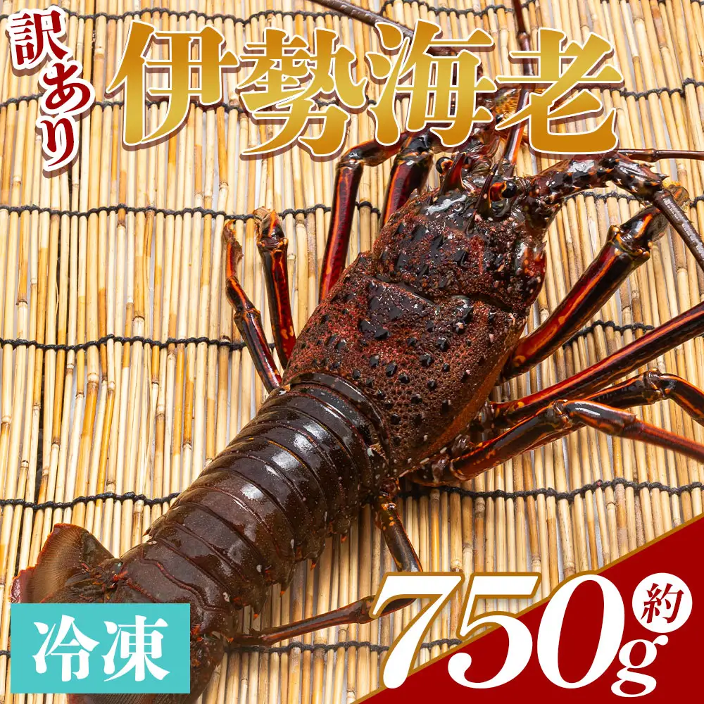 伊勢海老 750g 1〜3尾 伊勢海老 eb-0058