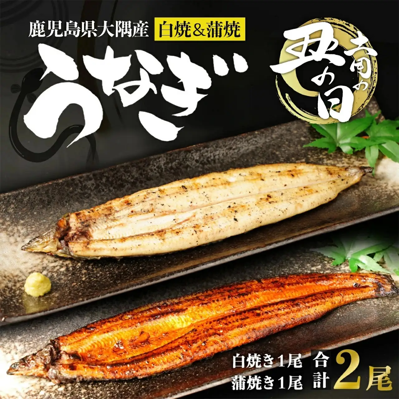 【土用丑の日】鹿児島県大隅産　千歳鰻の白焼1尾・蒲焼き1尾　合計2尾セット（1尾110g～130g）