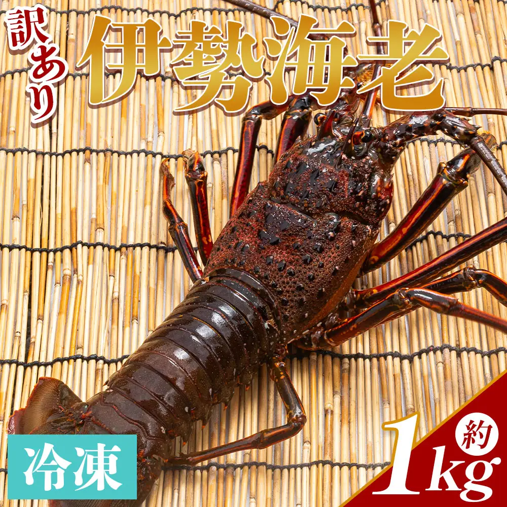 伊勢海老 1kg(1～5匹) 伊勢海老 eb-0059