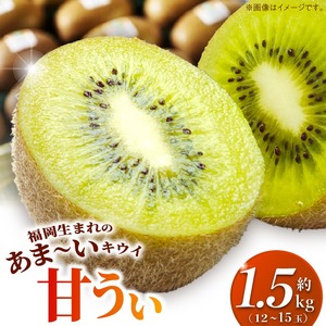 【2026年10月以降お届け】甘うぃ1.5kg箱_甘い キウイ 甘うぃ キウイフルーツ 1.5kg 国産 甘みの強い 果実 黄色味 福岡 オリジナル品種 濃厚 まろやか 高糖度 フルーツ 果物 ヨーグルト スムージー ジュース デザート 福岡県 久留米市 お取り寄せ お取り寄せフルーツ 送料無料 〔Fx019〕