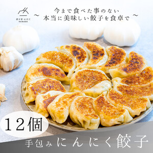 餃子 手包みにんにく餃子 Sパック 12個入り 餃子屋はまだ