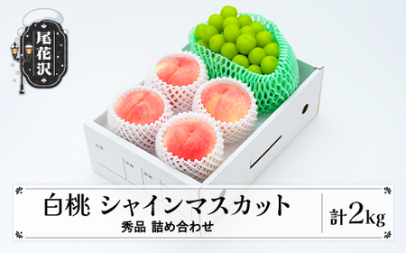 山形県産 白桃 シャインマスカット 詰め合わせ 計2kg 2026年産 ns-fshsx2-b