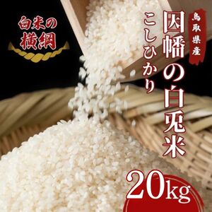 Y985 因幡の白兎米 コシヒカリ 令和8年産 精米済 20kg（5kg×4袋）