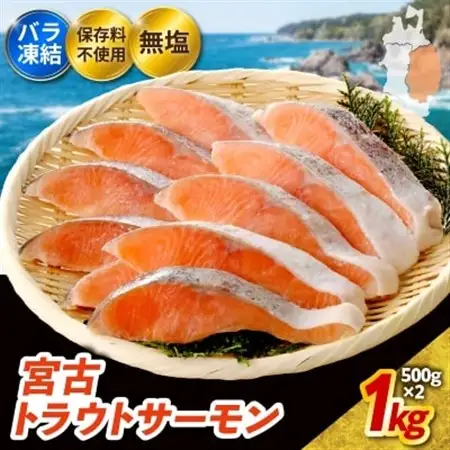 無添加・無塩　トラウトサーモン切身1kg入り(腹骨取り)【配送不可地域：離島】【1632507】