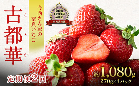 先行予約 定期便 2回 いちご 奈良県産 古都華 約1080g 270g×4パック 今西さん家の奈良いちご ことか 冷蔵配送 BN001