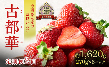 先行予約 定期便 2回 いちご 奈良県産 古都華 約1620g 270g×6パック 今西さん家の奈良いちご ことか 冷蔵配送 BN001