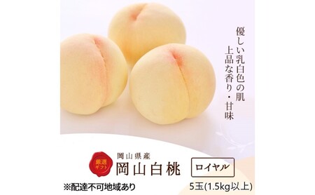 桃 2026年 先行予約 白桃 5玉 (1.5kg以上) 等級：ロイヤル 木箱入り