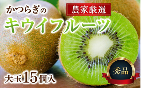 【先行予約】 先行予約！和歌山県産 秀品 キウイフルーツ 大玉15個入 こだわり農家厳選  【2026年12月中旬～2027年1月中旬頃順次発送】/ キウイ キウイフルーツ 果物 フルーツ おやつ【kgr021】