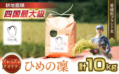 【先行予約】【R8年産】【愛媛県ブランド】ひめの凜 10kg（プレミアムクオリティ） ｜ お米 お米不足 お米品薄 おいしい お米 事業者支援 送料無料 白米 精米 国産 限定 ごはん ご飯 白飯 ゴハン 愛媛県産 鬼北町 ※2026年10月～発送