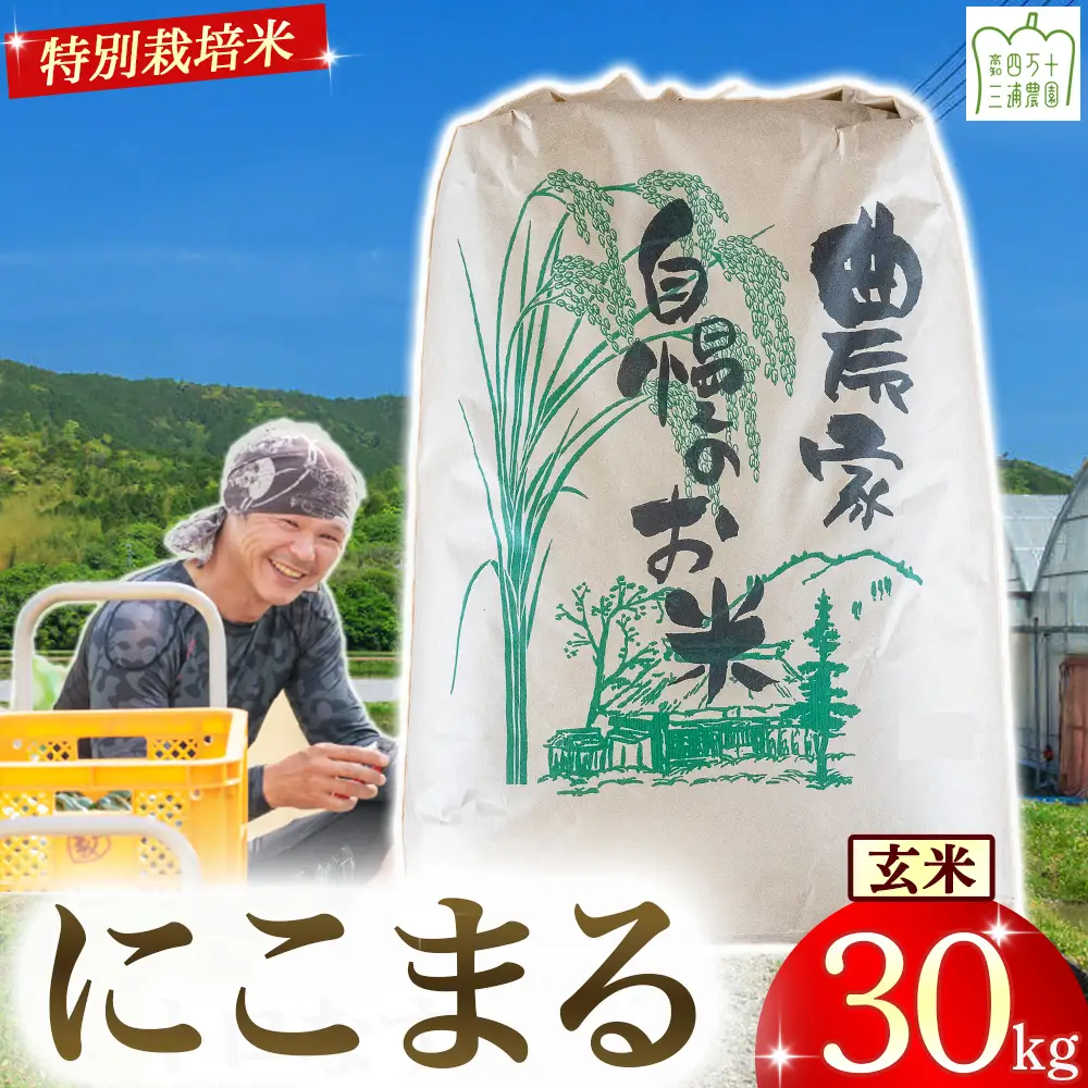 【予約受付】 四万十清流育ち！三浦さんの玄米 30kg（15kg×2） 菌の力で美味しさUP 特別栽培米 ／Fms-A19 玄米 にこまる 特別栽培米 米 お米