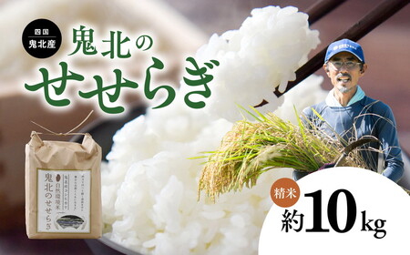 【先行予約】【R8年産】【自然環境米】鬼北のせせらぎ（コシヒカリ）5kg×2 ｜ お米 お米不足 お米品薄 おいしい お米 事業者支援 送料無料 白米 精米 国産 限定 ごはん ご飯 白飯 ゴハン 愛媛県産 鬼北町 ※2026年9月～発送