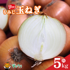 【訳あり】 もみじ玉ねぎ 約5kg 【7月上旬頃～11月下旬頃発送予定】 | 玉ねぎ 松山市 【VEG055】