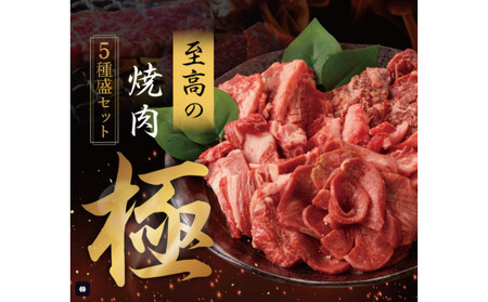至高の焼肉　極　5種盛りセット　合計500g AOD0001