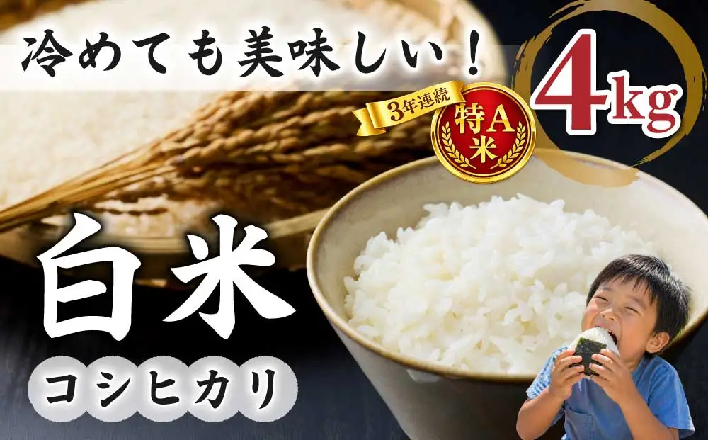 白米4kg 特A米【冷めても美味しいコシヒカリ】｜最短4～7日程度でお届け　※着日指定不可【小田農園】