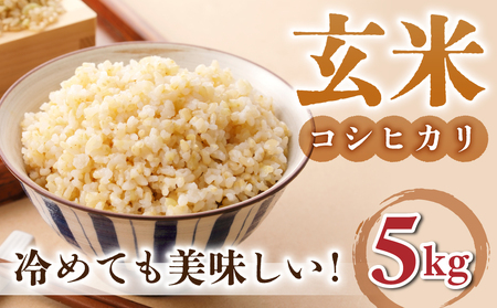 玄米5kg【冷めても美味しいコシヒカリ】｜最短4～7日程度でお届け　※着日指定不可【小田農園】
