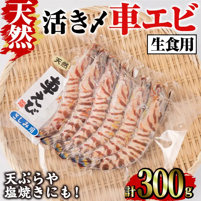 天然 活き〆車エビ 生食用 (300g)  エビ 海老 車海老 車エビ 冷凍 刺身 さしみ 天ぷら 塩焼 バーベキュー 国産 大分県産 大分県 鶴見食賓館 【opad007】【鶴見食賓館】