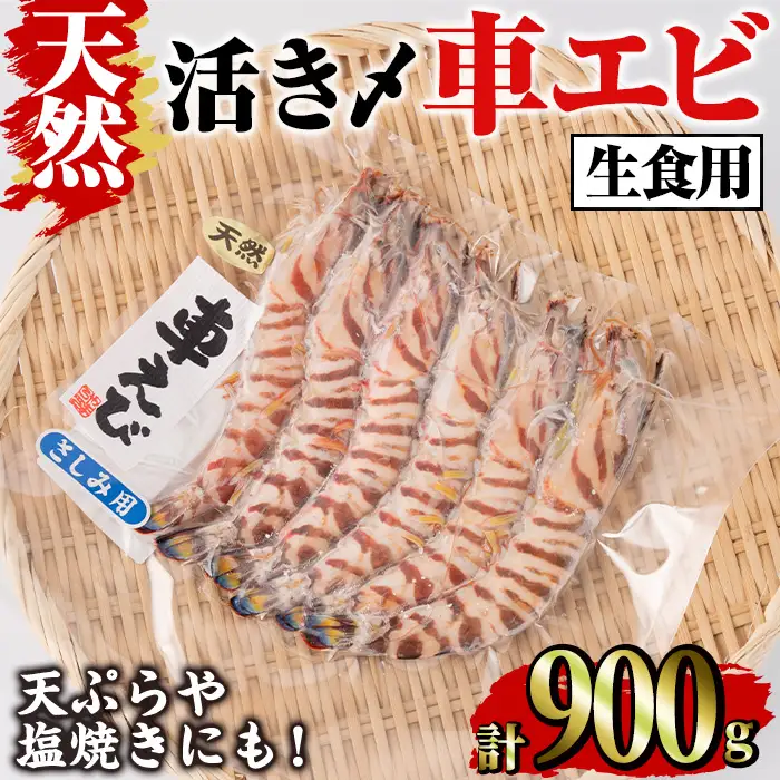 天然 活き〆車エビ 生食用 (計900g)  エビ 海老 車海老 車エビ 冷凍 刺身 さしみ 天ぷら 塩焼 バーベキュー 国産 大分県産 大分県 鶴見食賓館 【opad008】【鶴見食賓館】